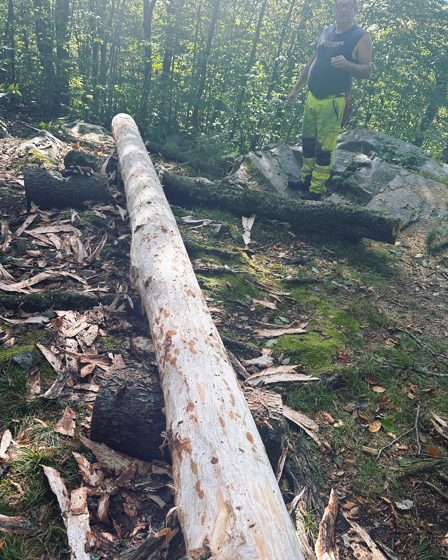 GMC-2023-sill-log.jpg